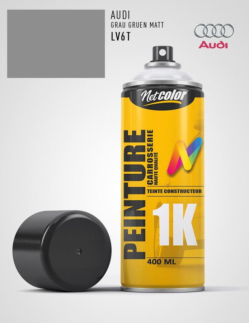 Bombe de Peinture Audi LV6T GRAU GRUEN MATT Bombe de Peinture Audi LV6T GRAU GRUEN MATT