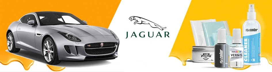 Gamme De Stylo Retouche Pour Jaguar | Netcolor