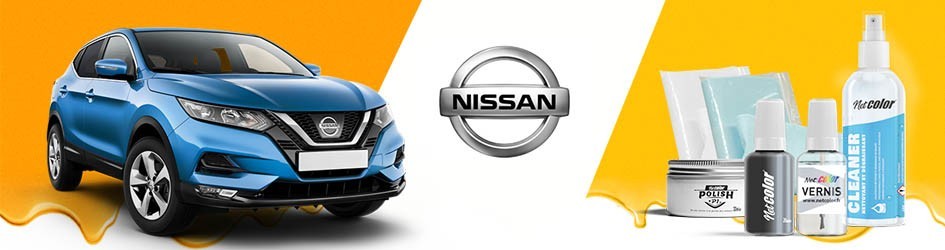Gamme De Stylo Retouche Pour Nissan | Netcolor