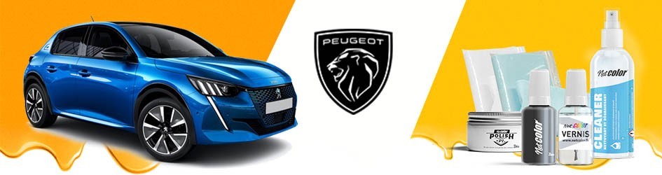 Gamme De Stylo Retouche Pour Peugeot | Netcolor