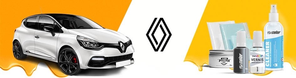 Gamme De Stylo Retouche Pour Renault | Netcolor
