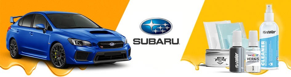 Gamme De Stylo Retouche Pour Subaru | Netcolor